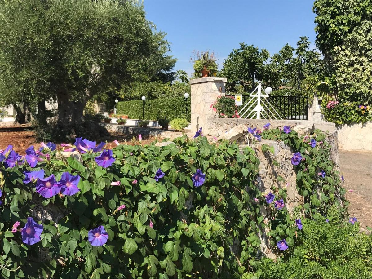 Hotel Il Trullo di Nonno Angelo San Marco Locorotondo Esterno foto