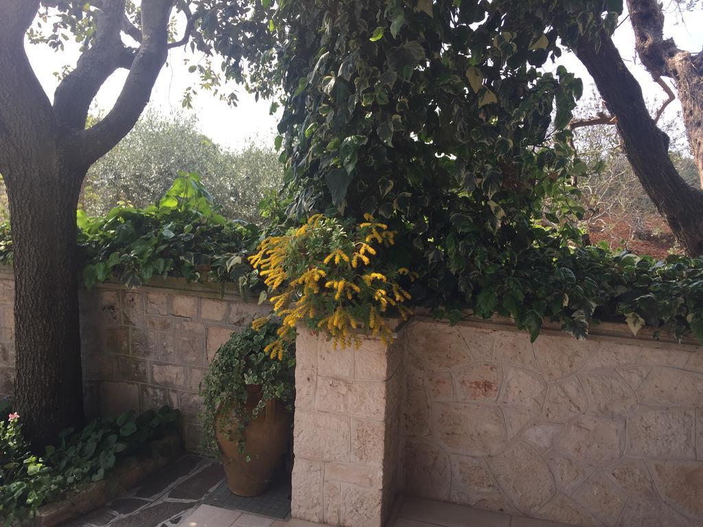 Hotel Il Trullo di Nonno Angelo San Marco Locorotondo Esterno foto