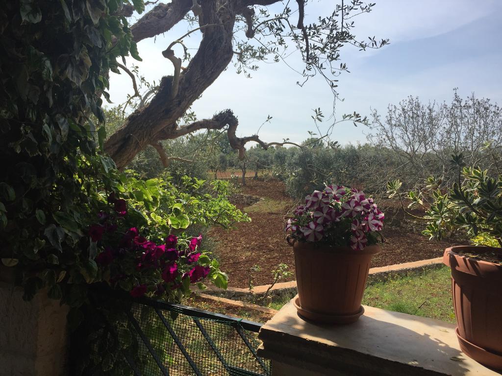 Hotel Il Trullo di Nonno Angelo San Marco Locorotondo Esterno foto