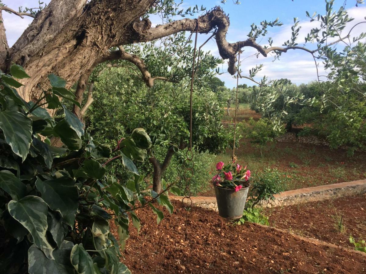 Hotel Il Trullo di Nonno Angelo San Marco Locorotondo Esterno foto